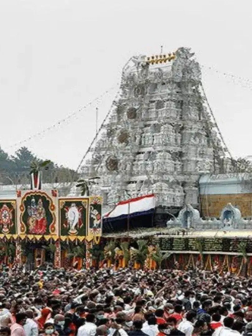 WhatsApp Image 2025-01-04 at 16.36.58_ef6785ea