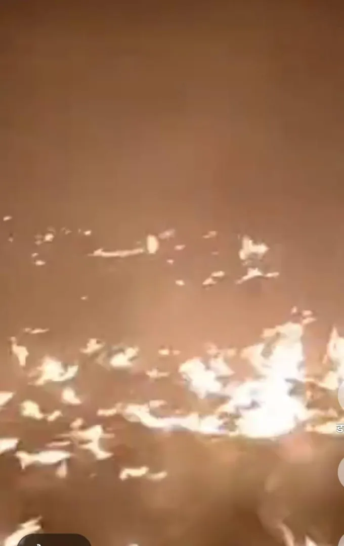 कचरे से निकली चिंगारी से इकोलॉजिकल पार्क में लगी आग