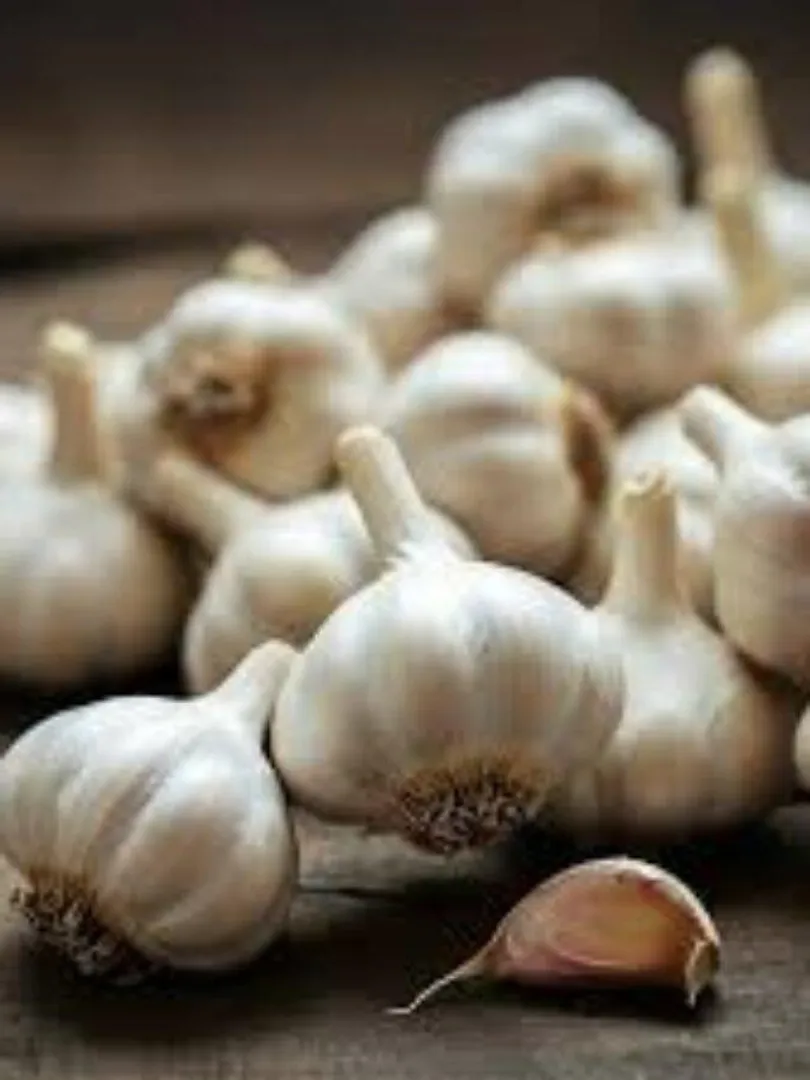 आज से महंगा हुआ एल.पी.जी  सिलेंडर, दिल्ली से पटना तक देखें ताज़ा रेट