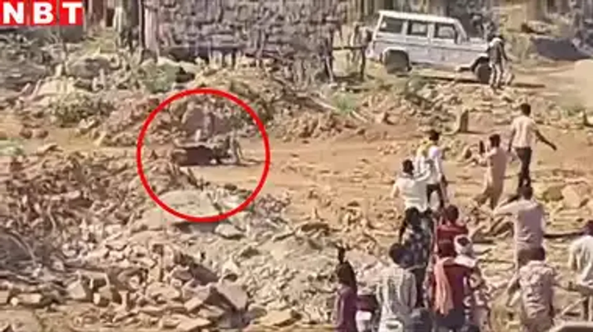 cheetah-attack-kuno-national-park-mp