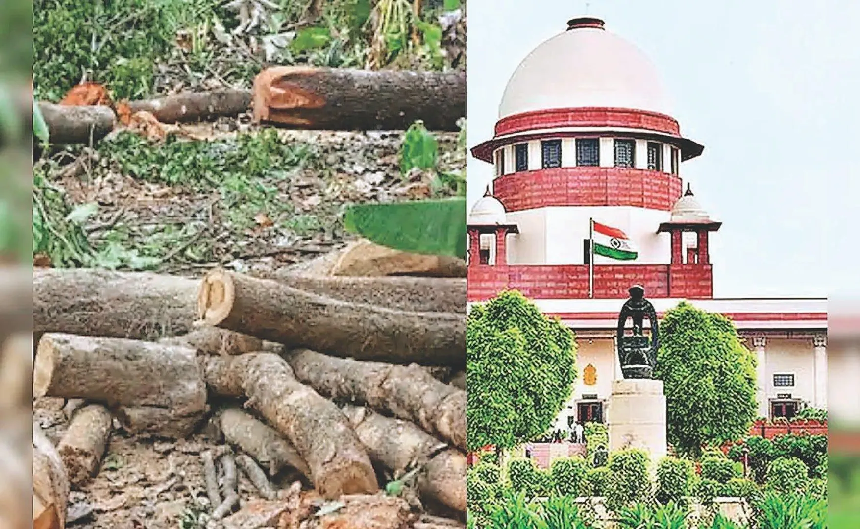 पेड़ काटना इंसान की हत्या से भी बदतर: सुप्रीम कोर्ट का सख्त रुख