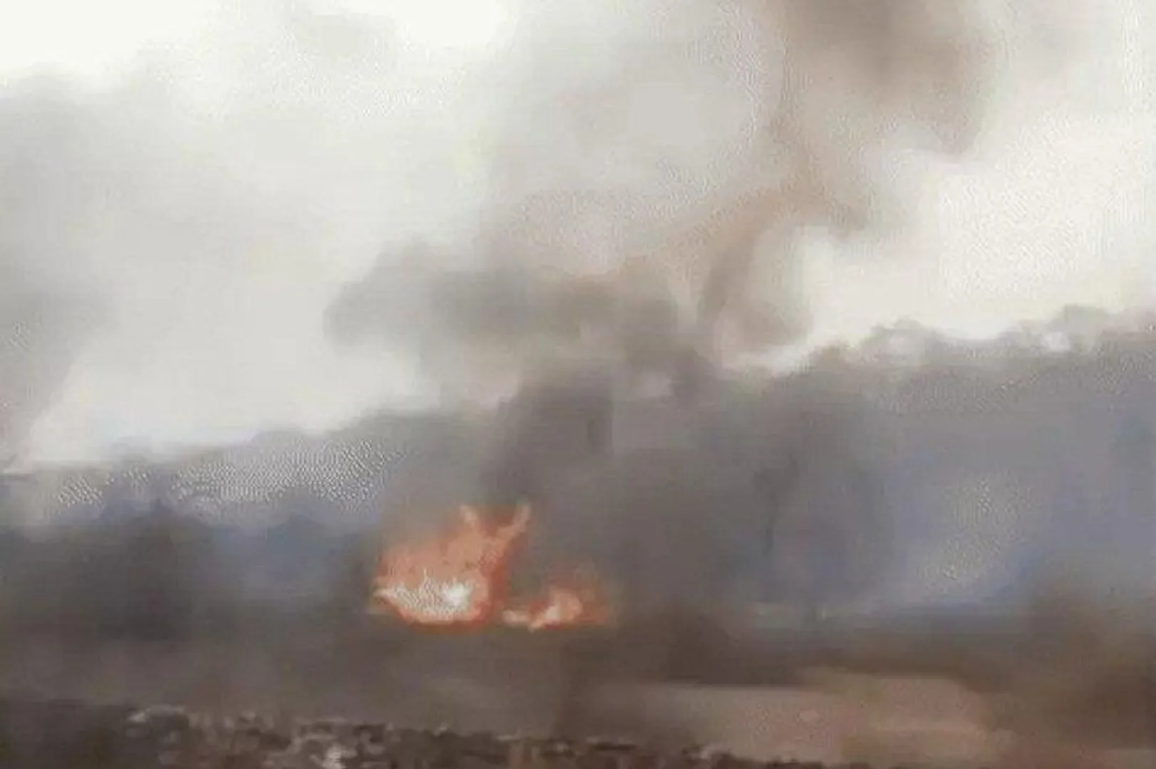 shivpuri-madhav-tiger-reserve-fire