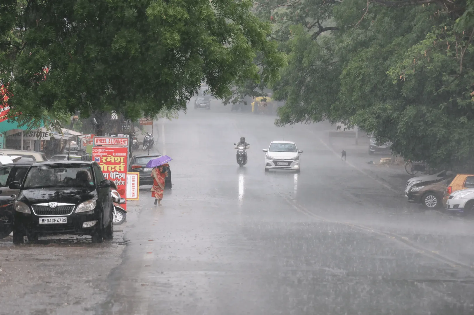 madhya-pradesh-heavy-rain-update-tikamgarh-shivpuri-flood-alert
