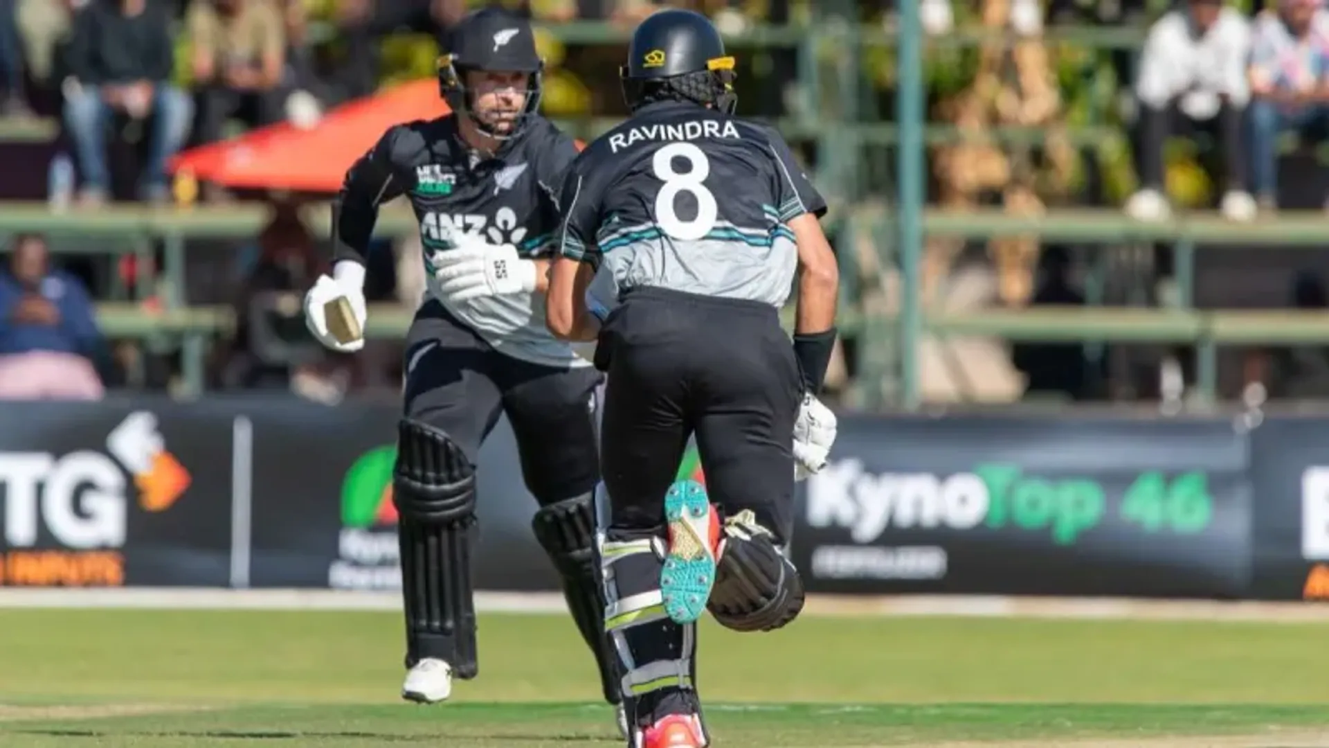 new-zealand-beat-zimbabwe-t20-tri-series