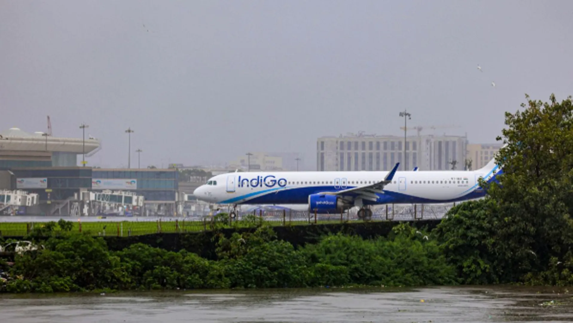 : indigo-flight-bird-hit-nagpur-kolkata-emergency-landing