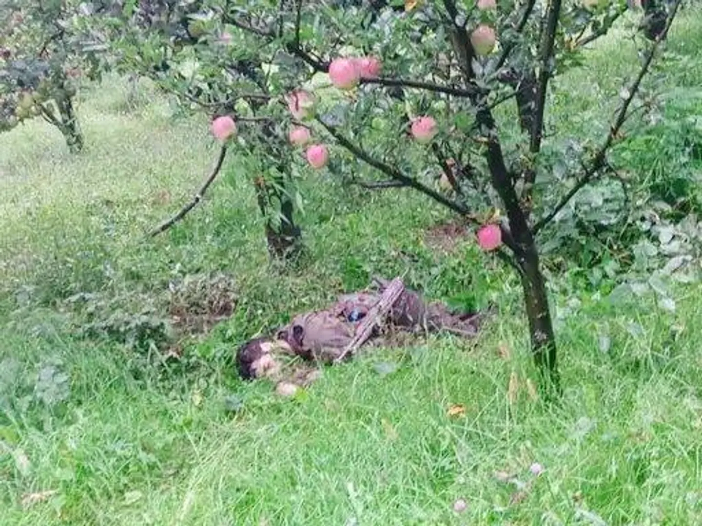 कुलगाम एनकाउंटर का दूसरा दिन, आतंकियों की तलाश जारी; दो जवान शहीद, दो आतंकवादी ढेर