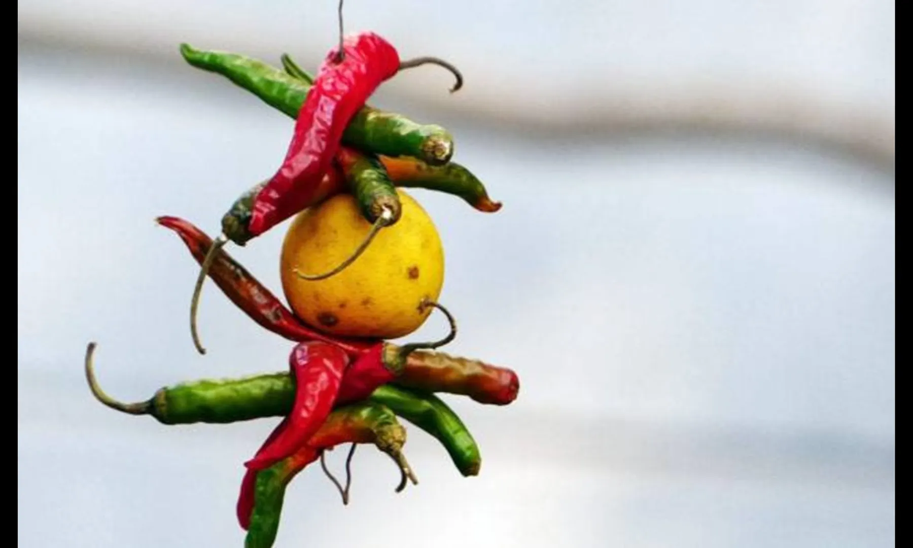 Chhattisgarh
