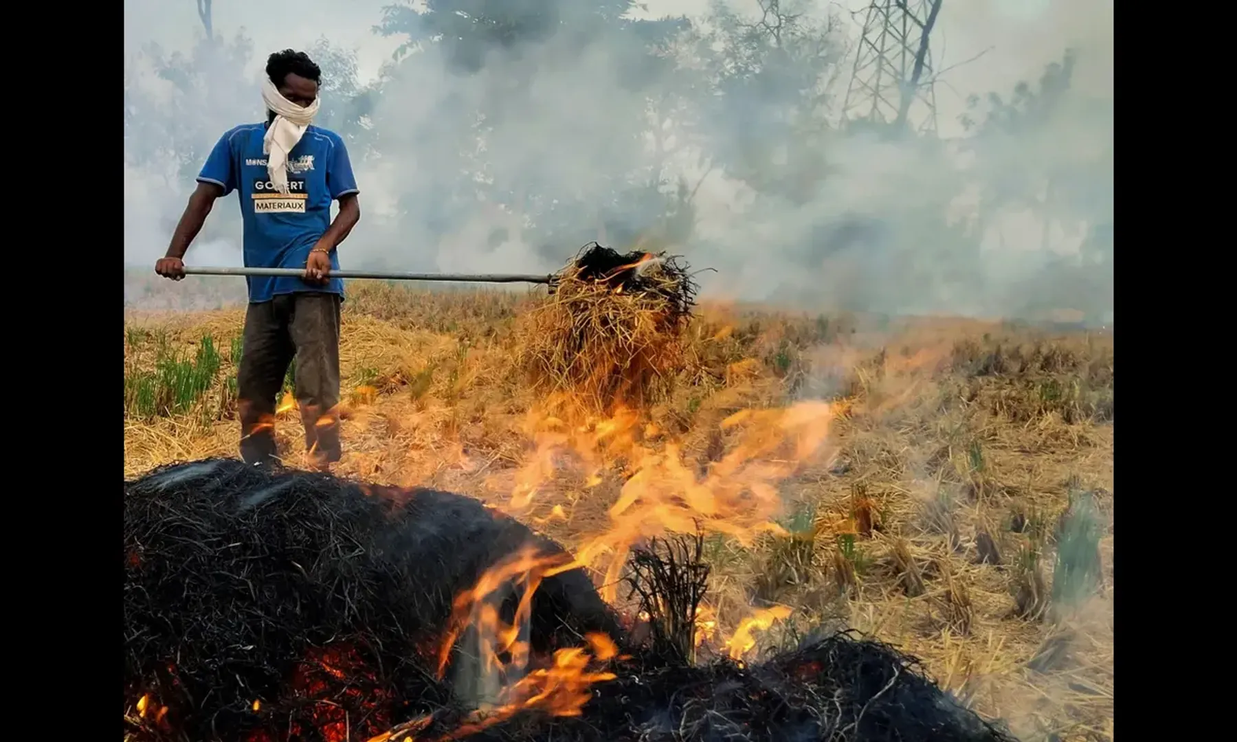 stubble burning