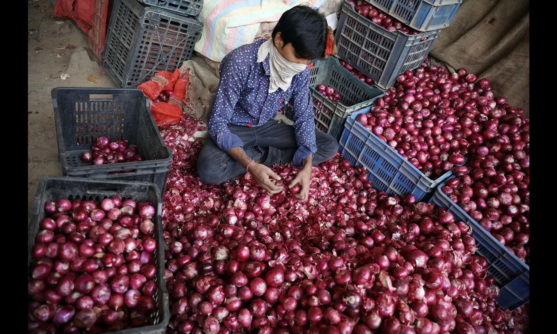 onion