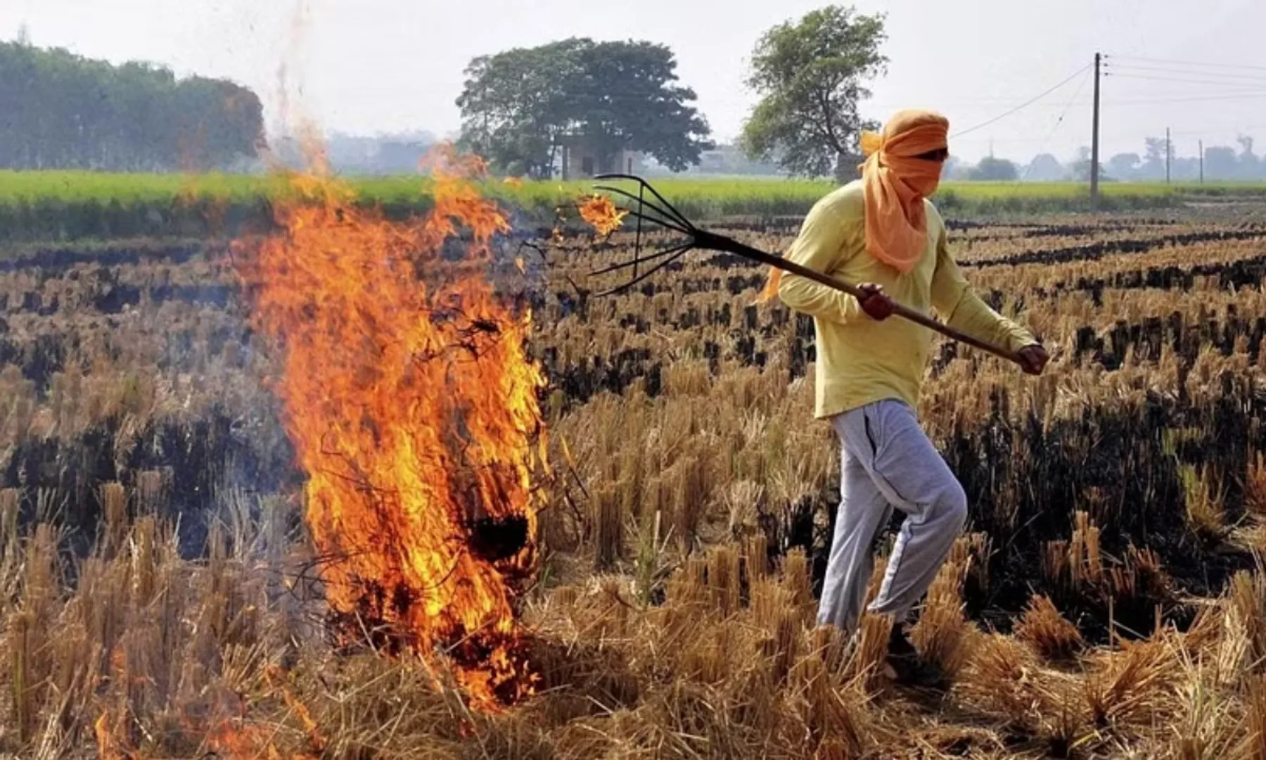Haryana 