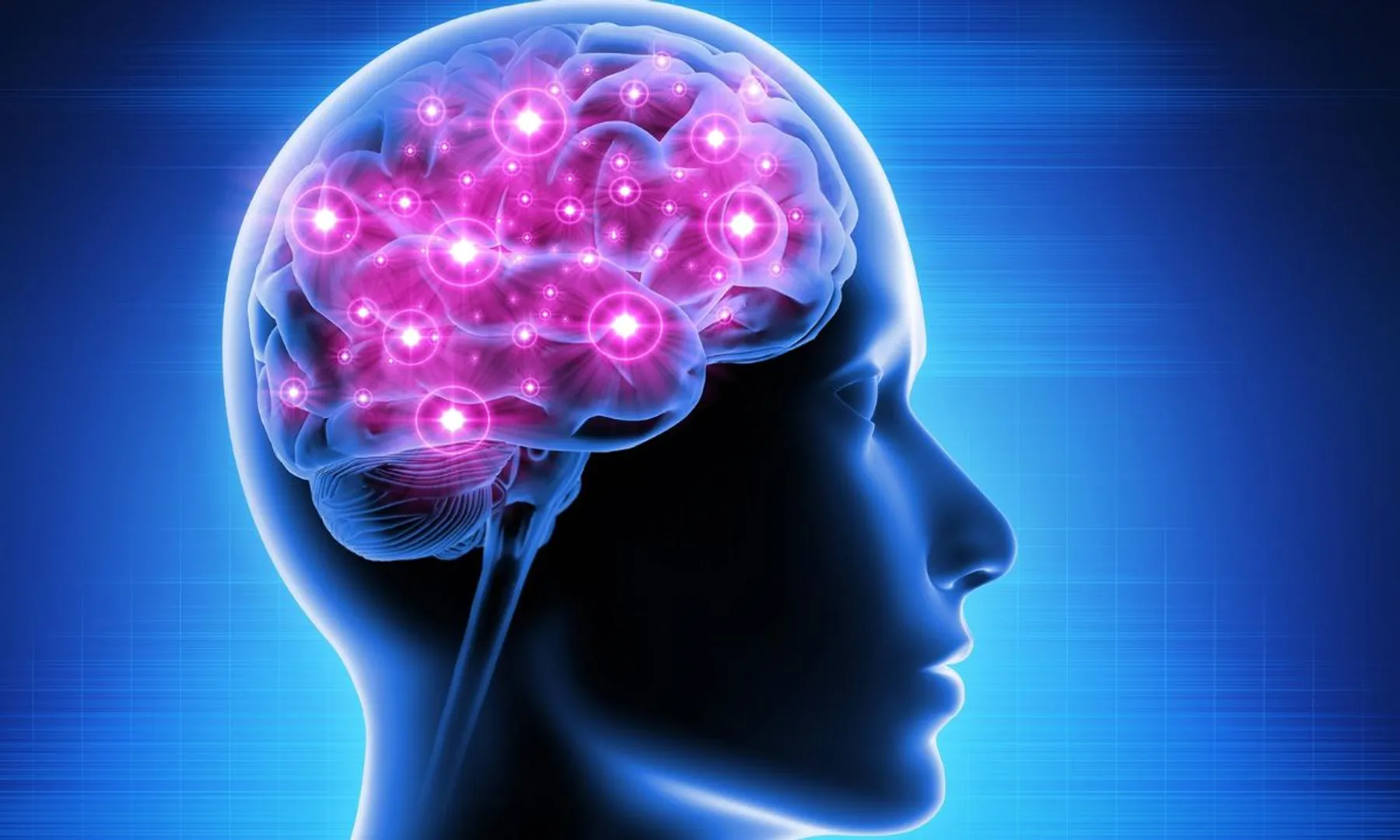 Human brain