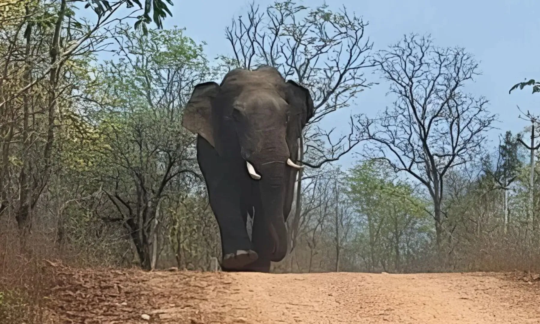 Maharashtra