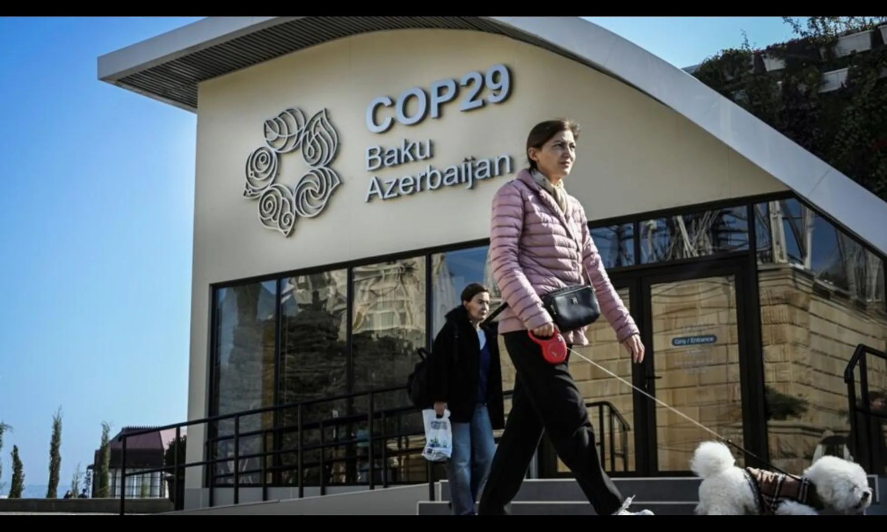 COP29