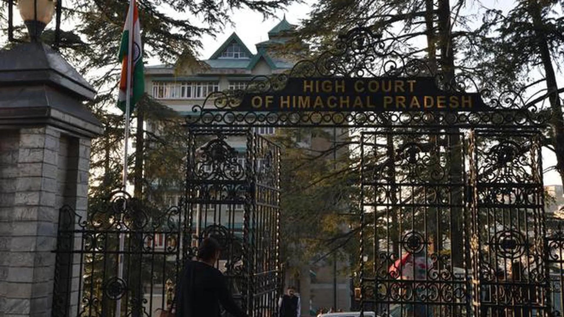 himachal court