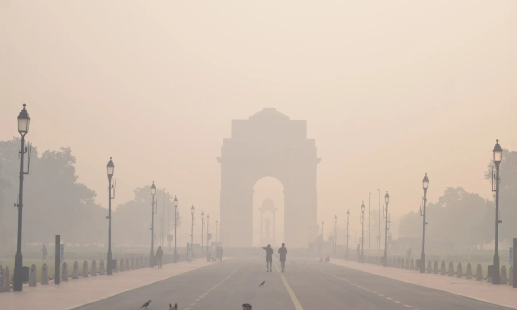 How air pollution affects weight and hormones All you need to know