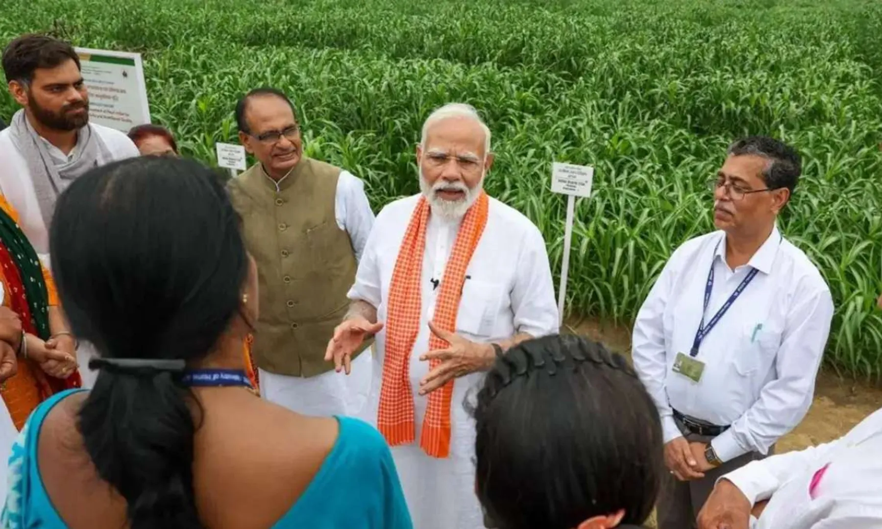 Govt approves National Mission on Natural Farming for chemical-free agriculture