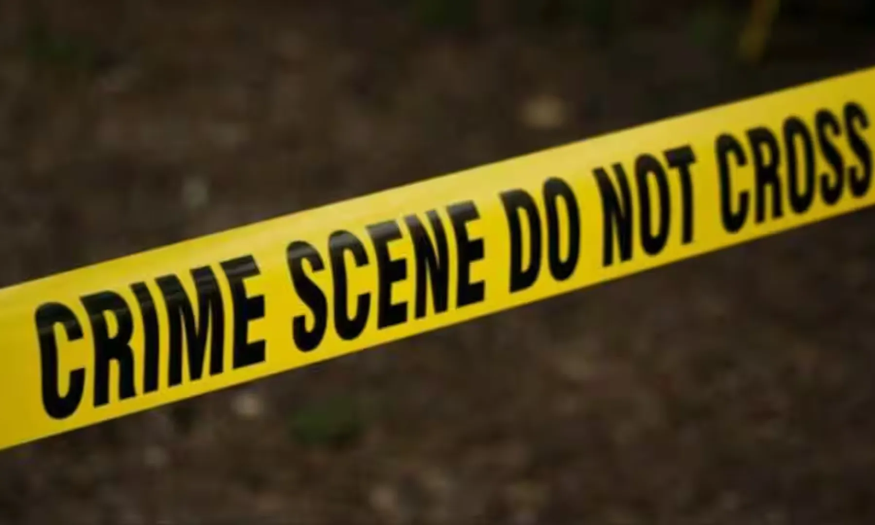 Man rapes, strangles live-in partner, chops body into 40 pieces