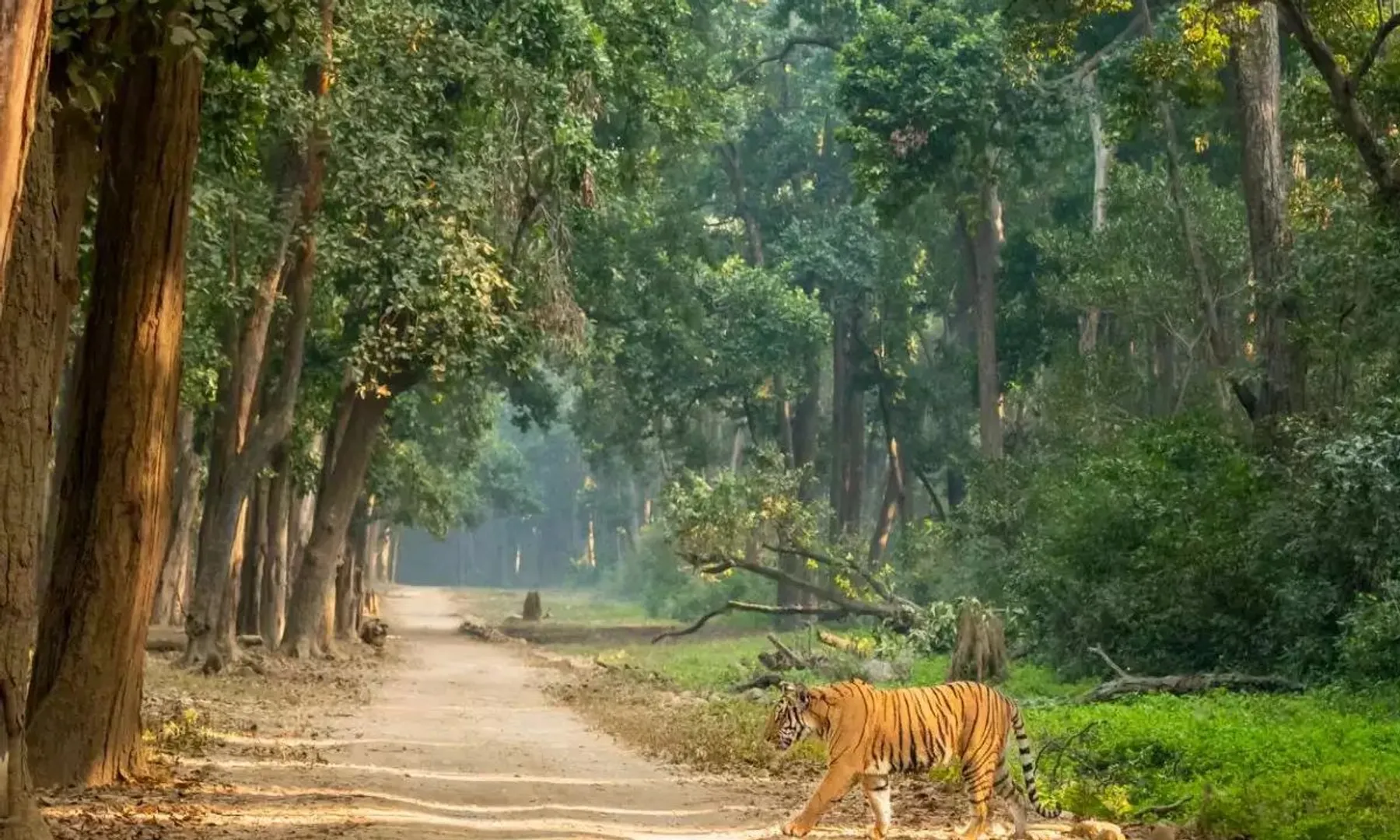 Corbett Park cameras used to scare and intimidate women Study
