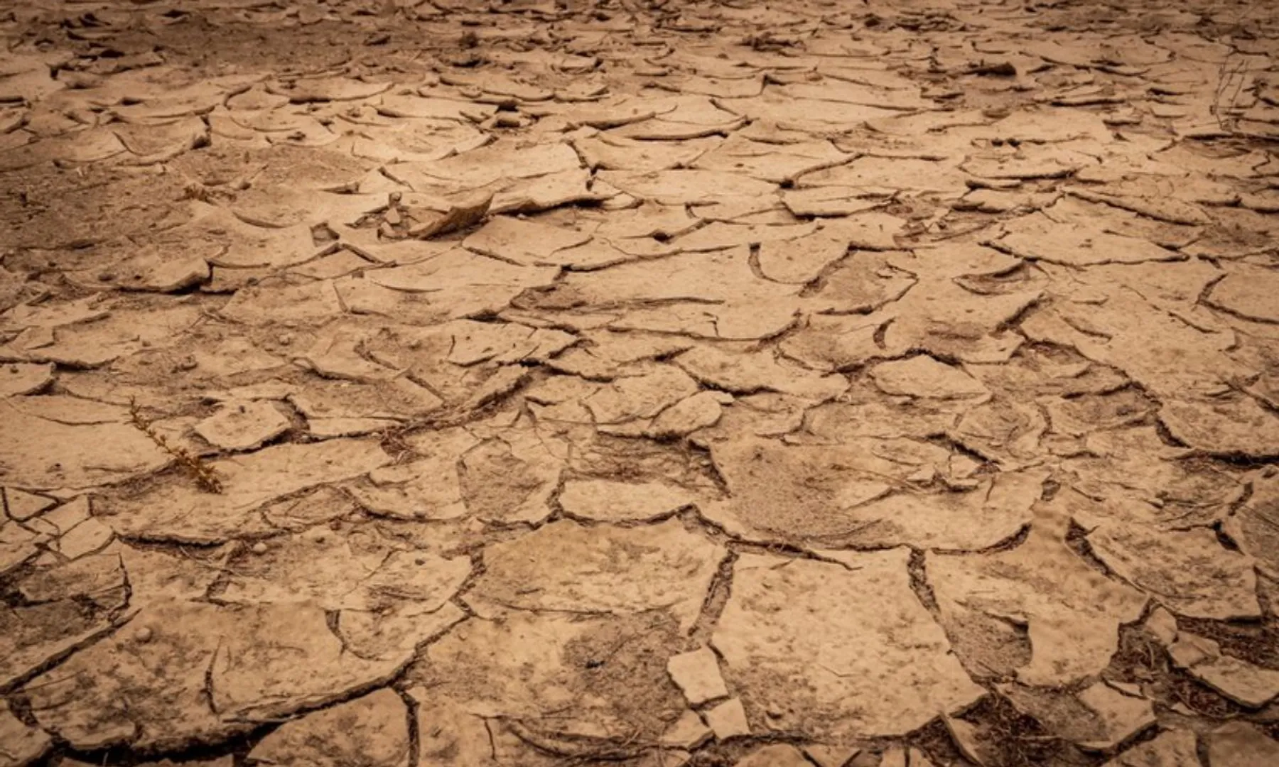 Over 77% of Earth’s land got drier in the last 30 years UN report