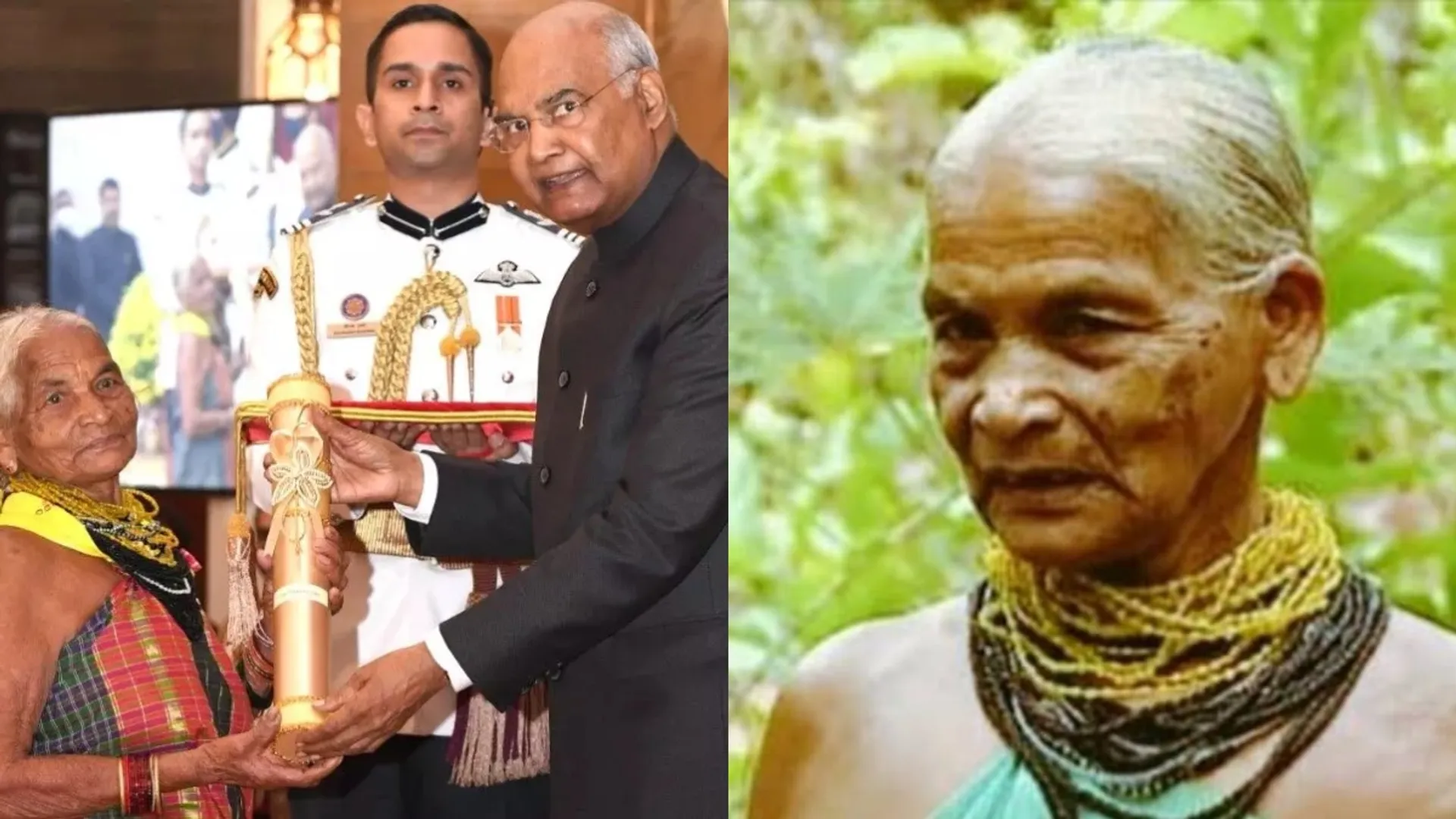 tulsi gowda