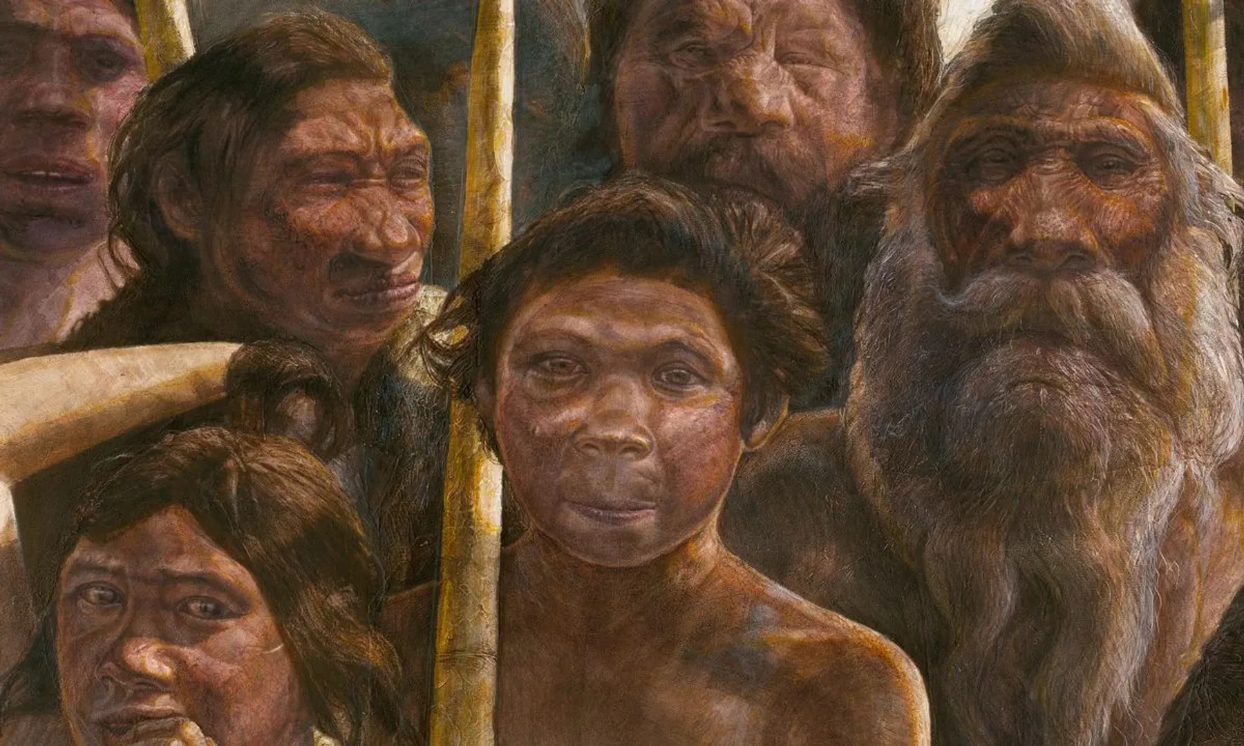 Iron age men lived with wives' families, DNA study shows