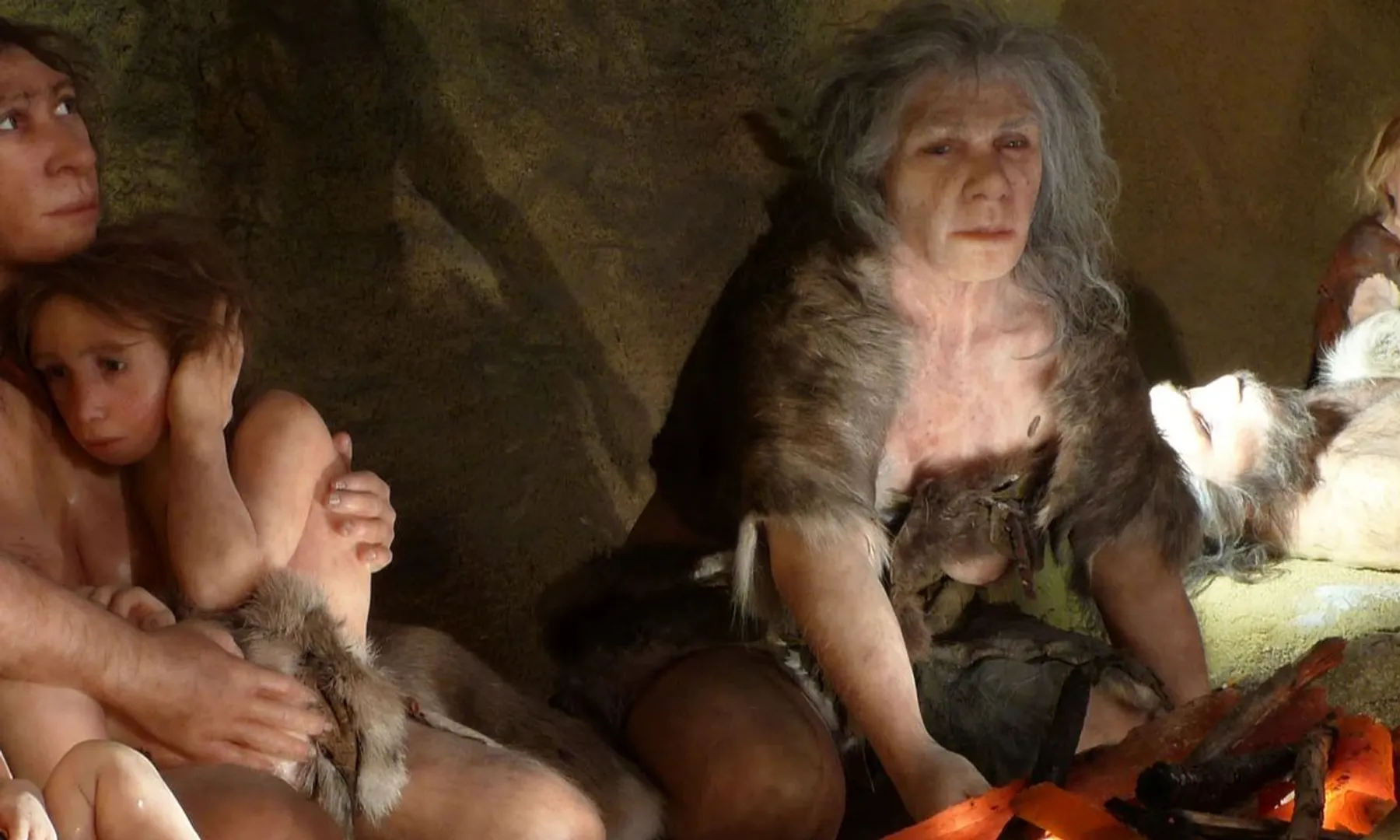 Did ancient Europeans eat human flesh New findings suggest they did