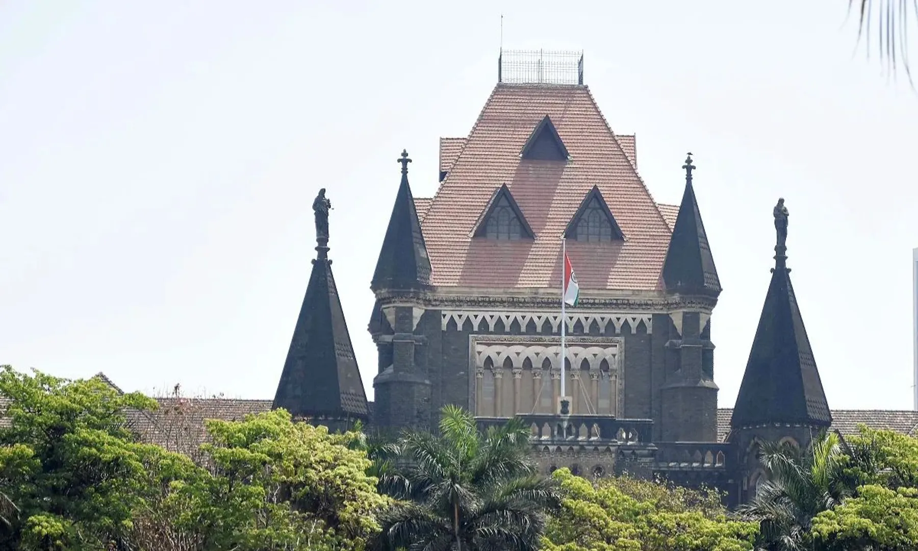 Human teeth not a dangerous weapon, says Bombay HC after woman alleges being bit by sister-in-law