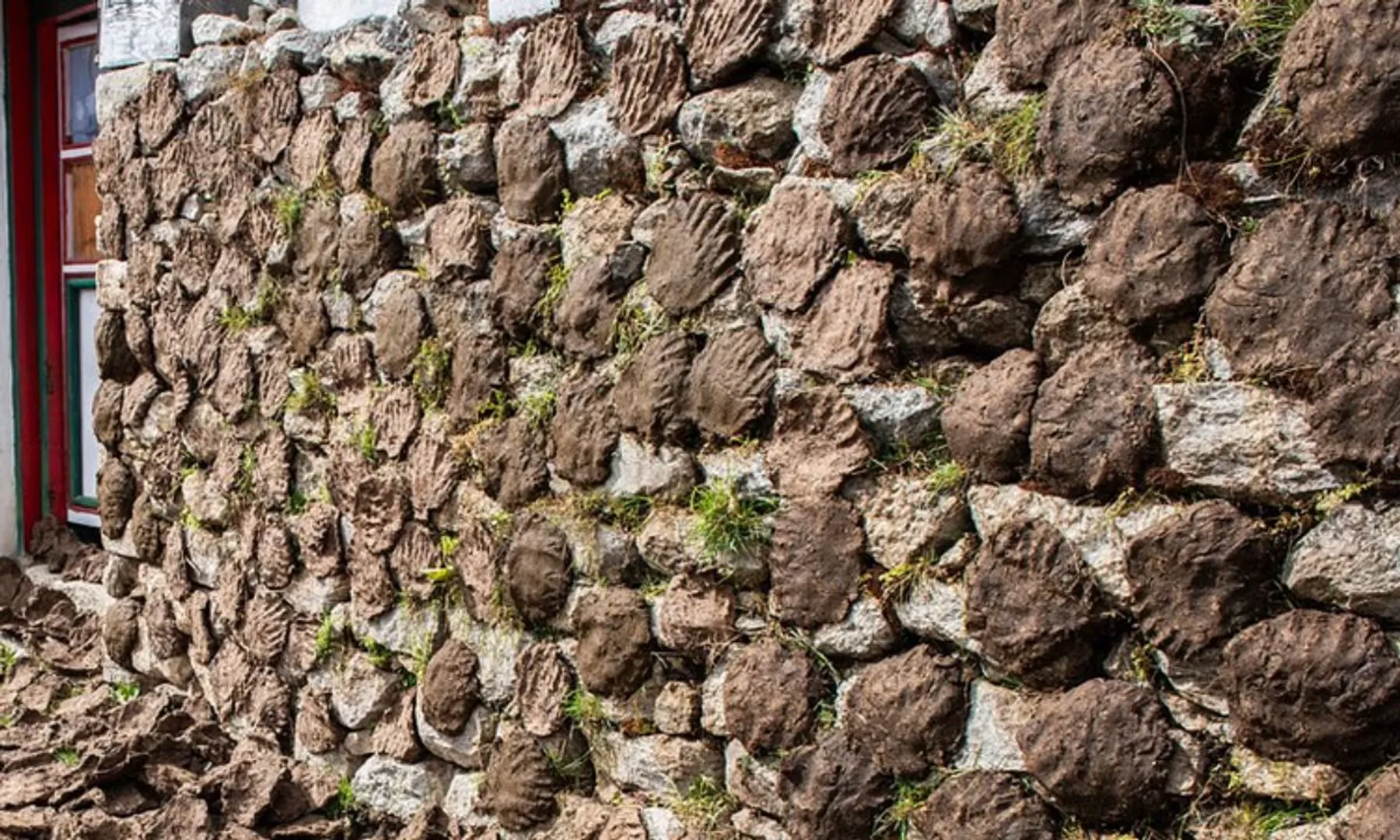 DU college principal seen coating classroom with cow dung, says part of research