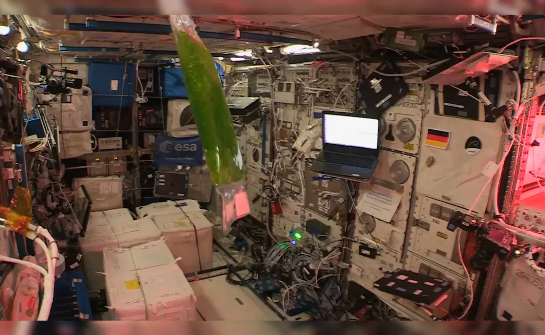 India to Conduct First-Ever Space Biology Experiments on ISS