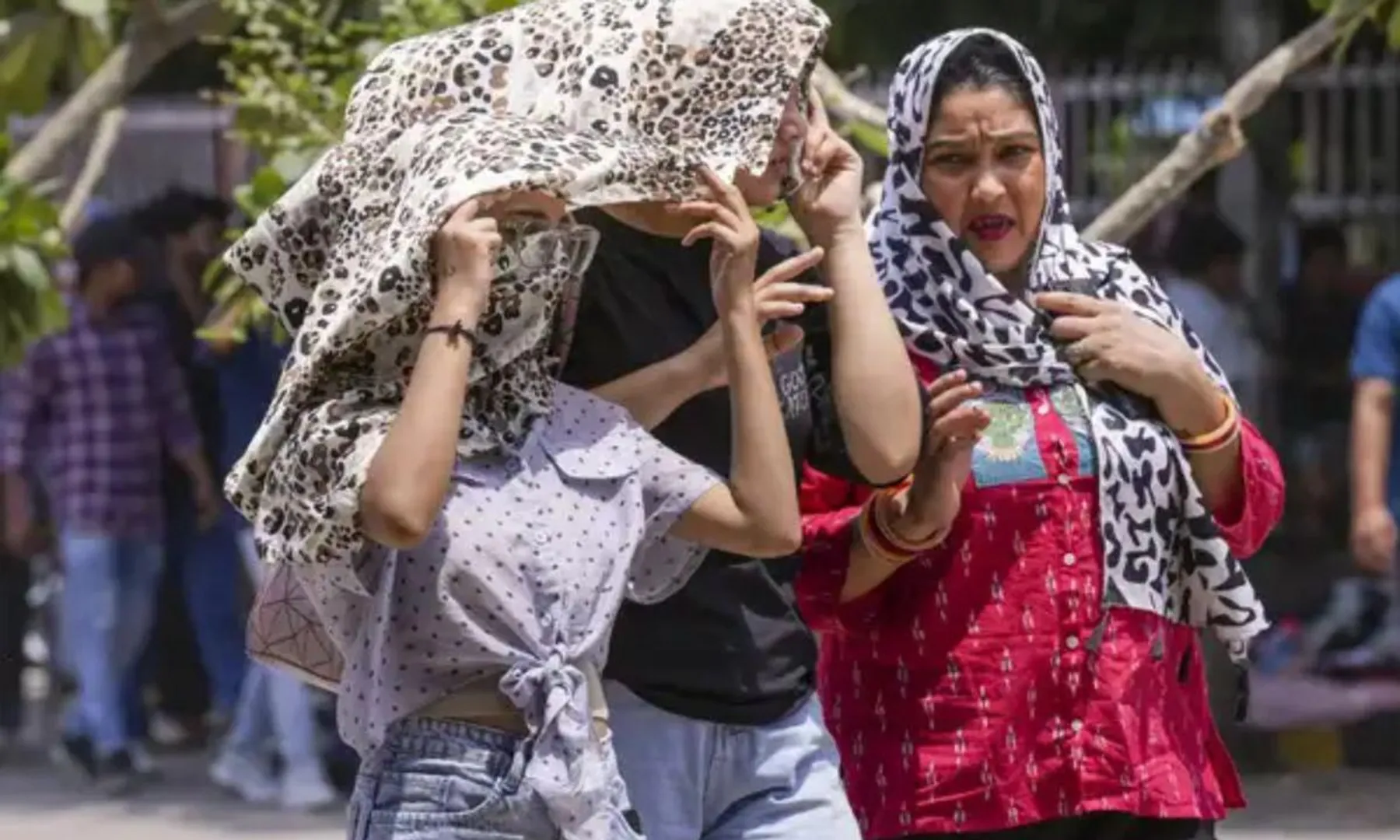 Hottest day of 2025 in Delhi ‘Feels-like’ temperature hits 49°C; IMD issues orange alert