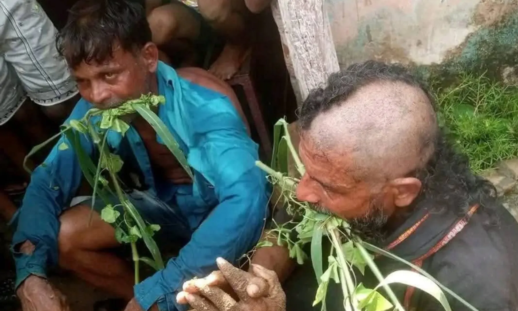 dalit
