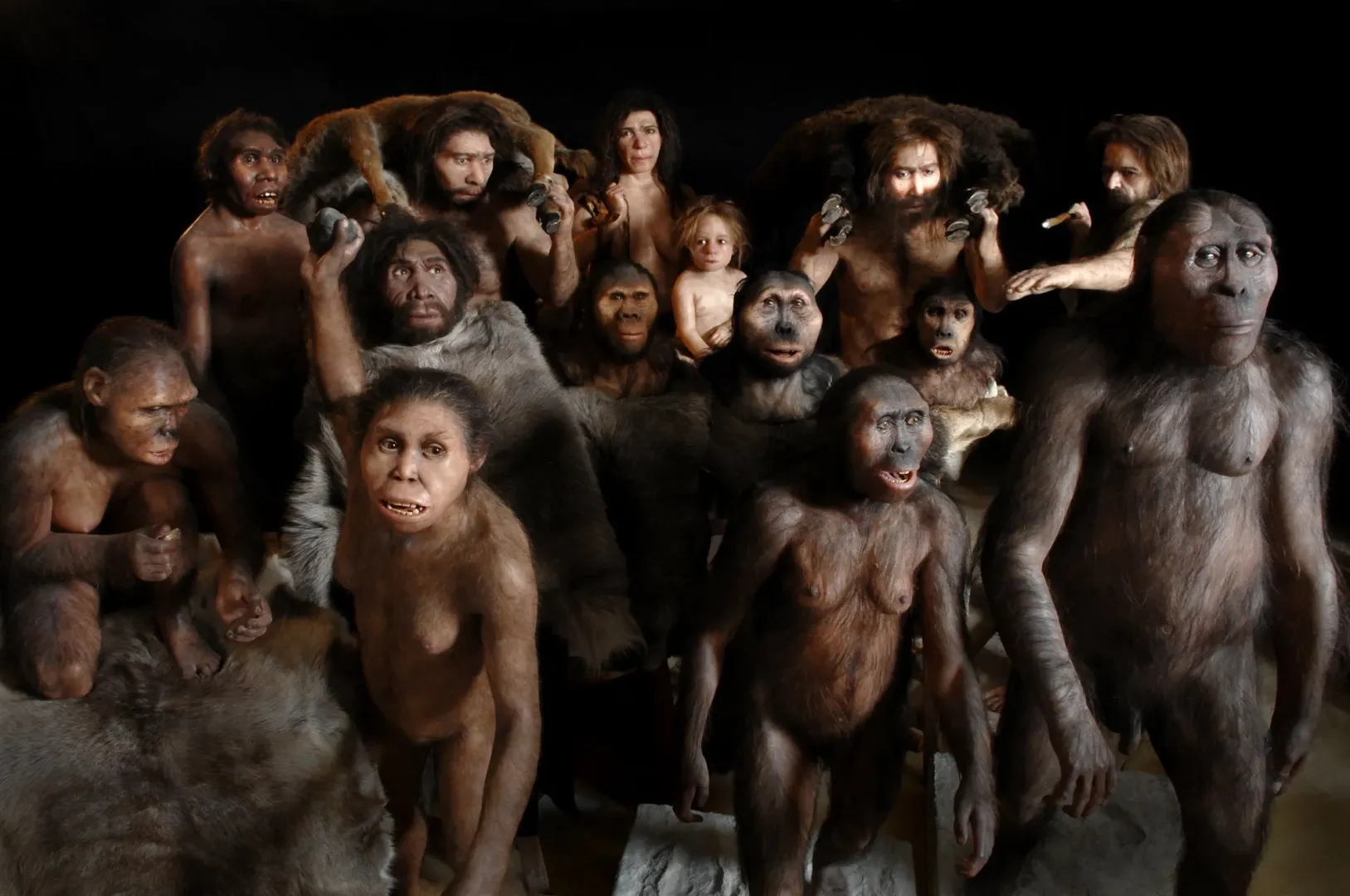 Did-humans-face-extinction-Research-suggests-our-ancestors-almost-disappeared-900000-years-ago-1-1
