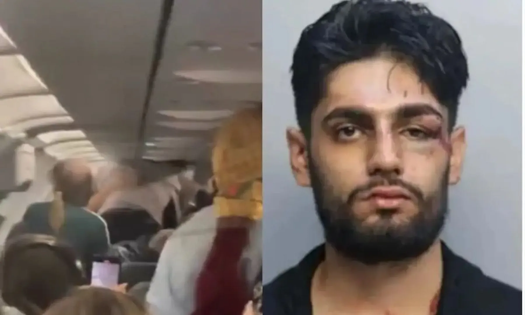  Indian-origin man arrested for choking co-passenger mid-flight in US | Watch post image