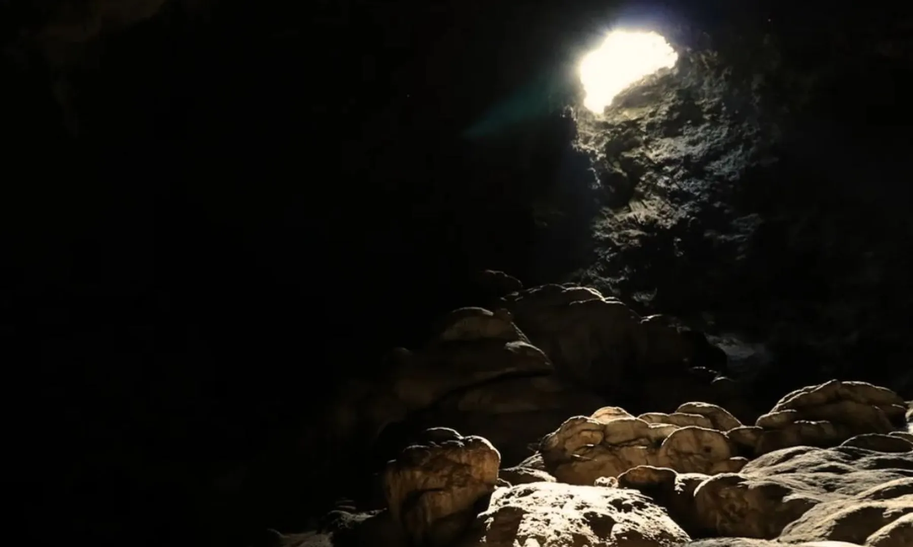  Blind, dragon-like creatures discovered in South Korea's dark caves post image