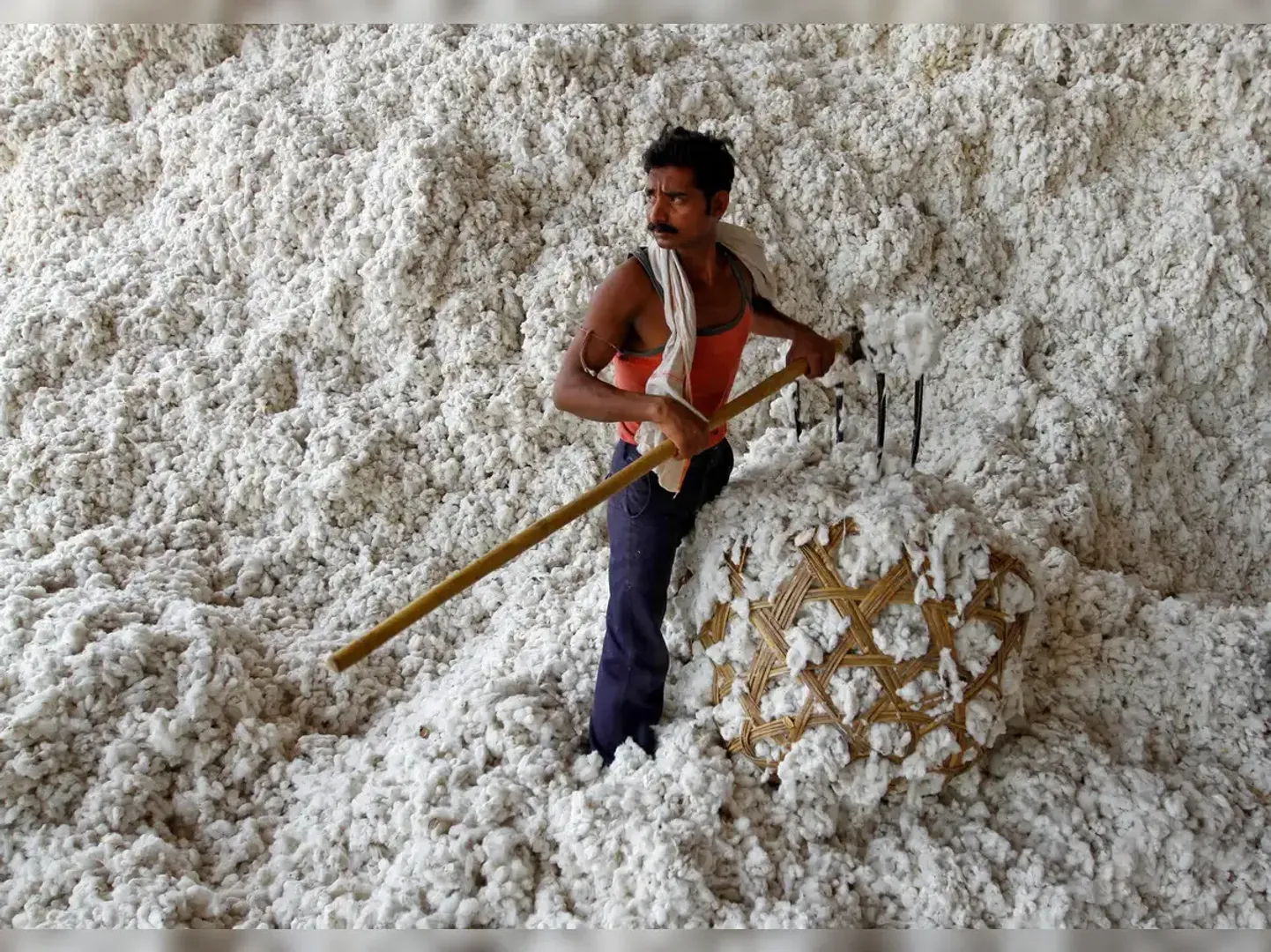 import-duty-on-raw-cotton-waived-off-till-september-end