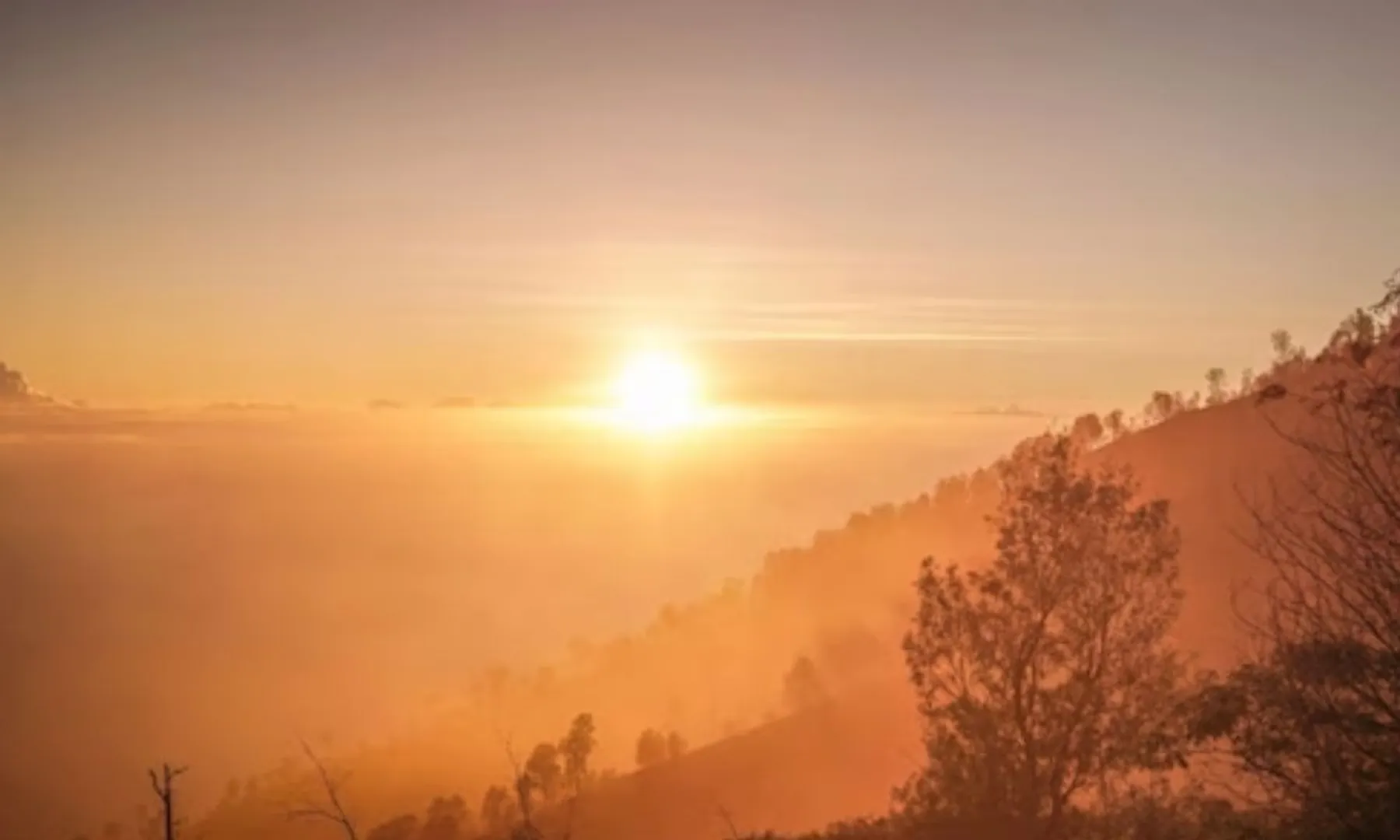  For 40 years, India’s been getting less sunlight, study explains why post image