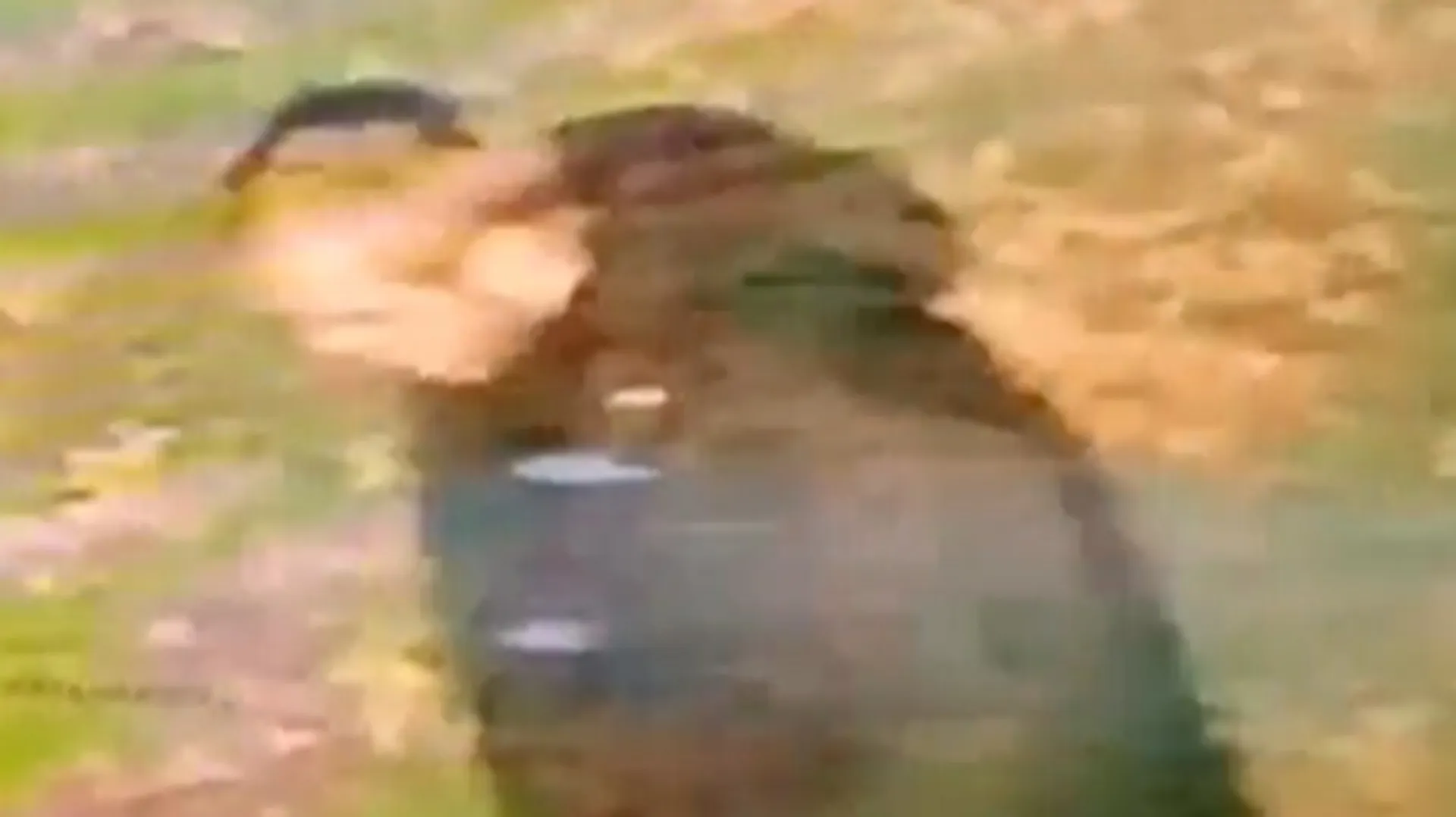  Indian-origin woman raped in UK due to racial hate, CCTV captures suspect post image