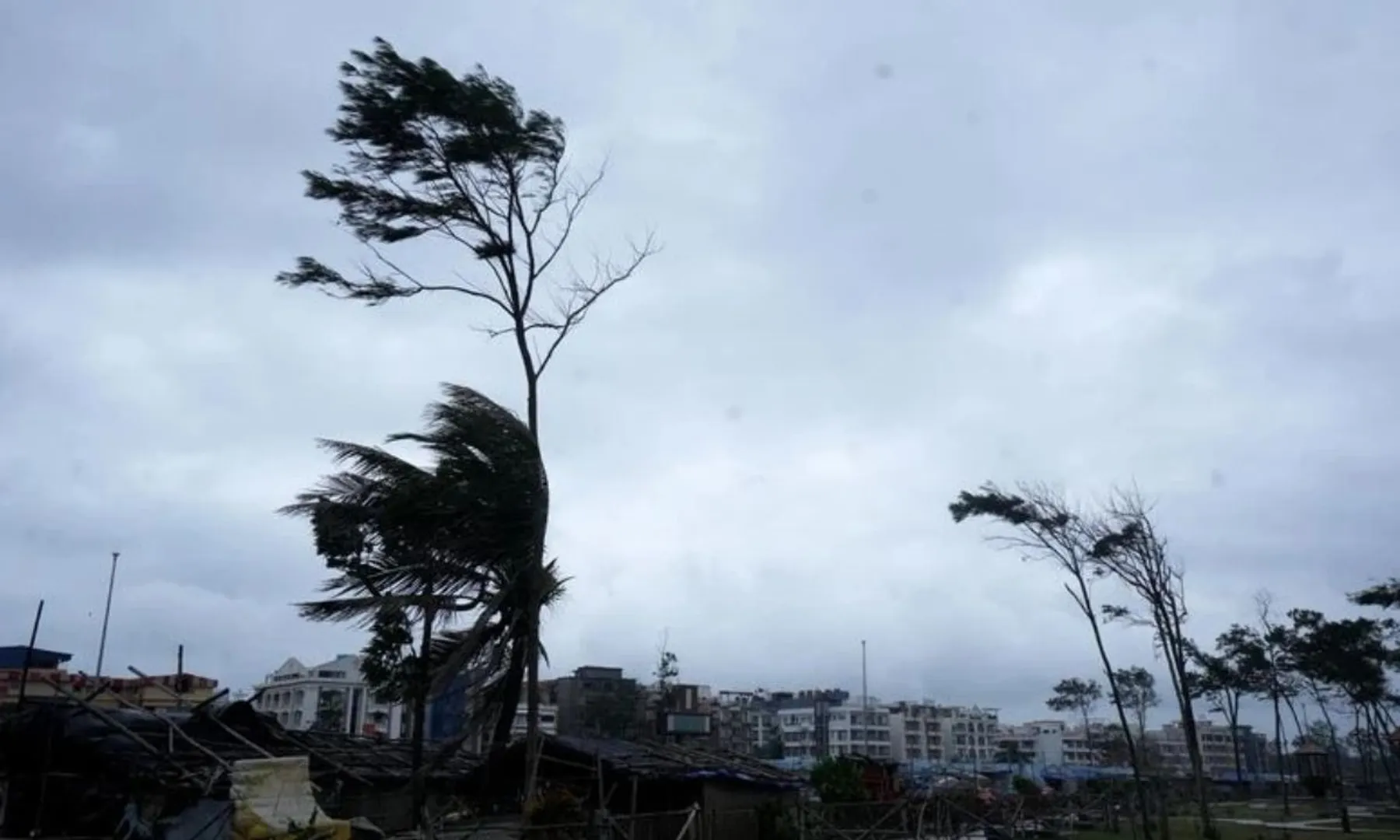  Cyclone Montha hits hard across Andhra Pradesh: 300 poles down, 20,000 acres of paddy lost post image