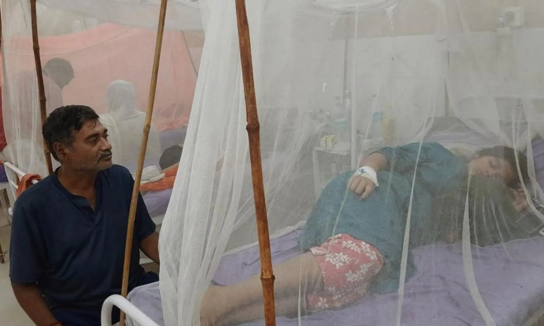  Dengue cases climb in Delhi; over 1,100 infected this year 