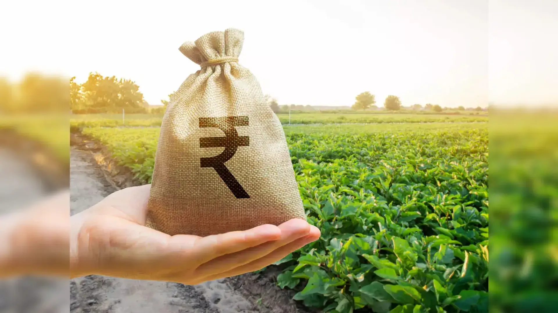  Maharashtra farmer sells kidney to repay Rs 1 lakh loan that grew to Rs 74 lakh 