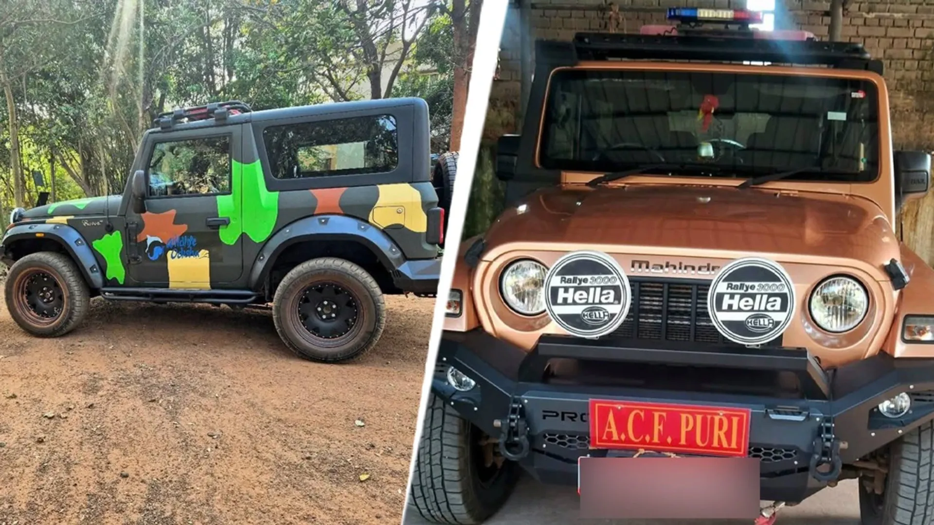  Why Odisha’s forest department spent Rs 12 crore on 51 Mahindra Thar SUVs 