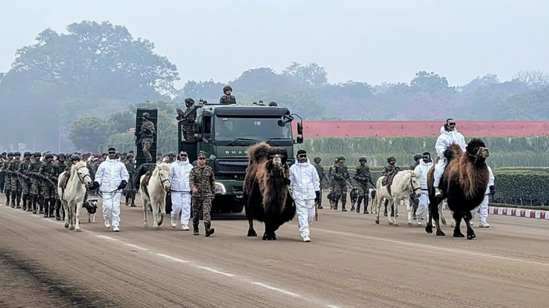 Rare double-humped camels from Ladakh to debut at Republic Day Parade 2026