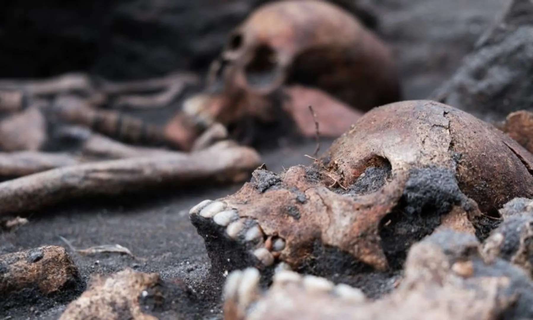  More than 80 human skeletons found under church renovated into house 