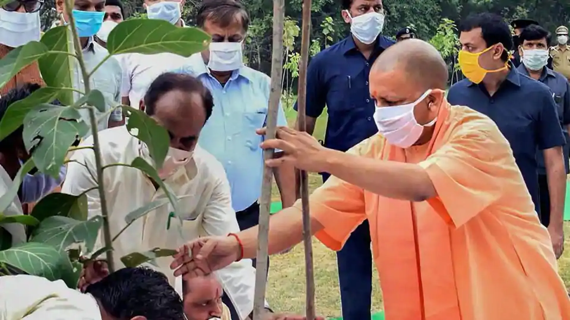 250 Million Tree saplings planted in UP, breaks world record as CM Yogi Adityanath vows to plant more