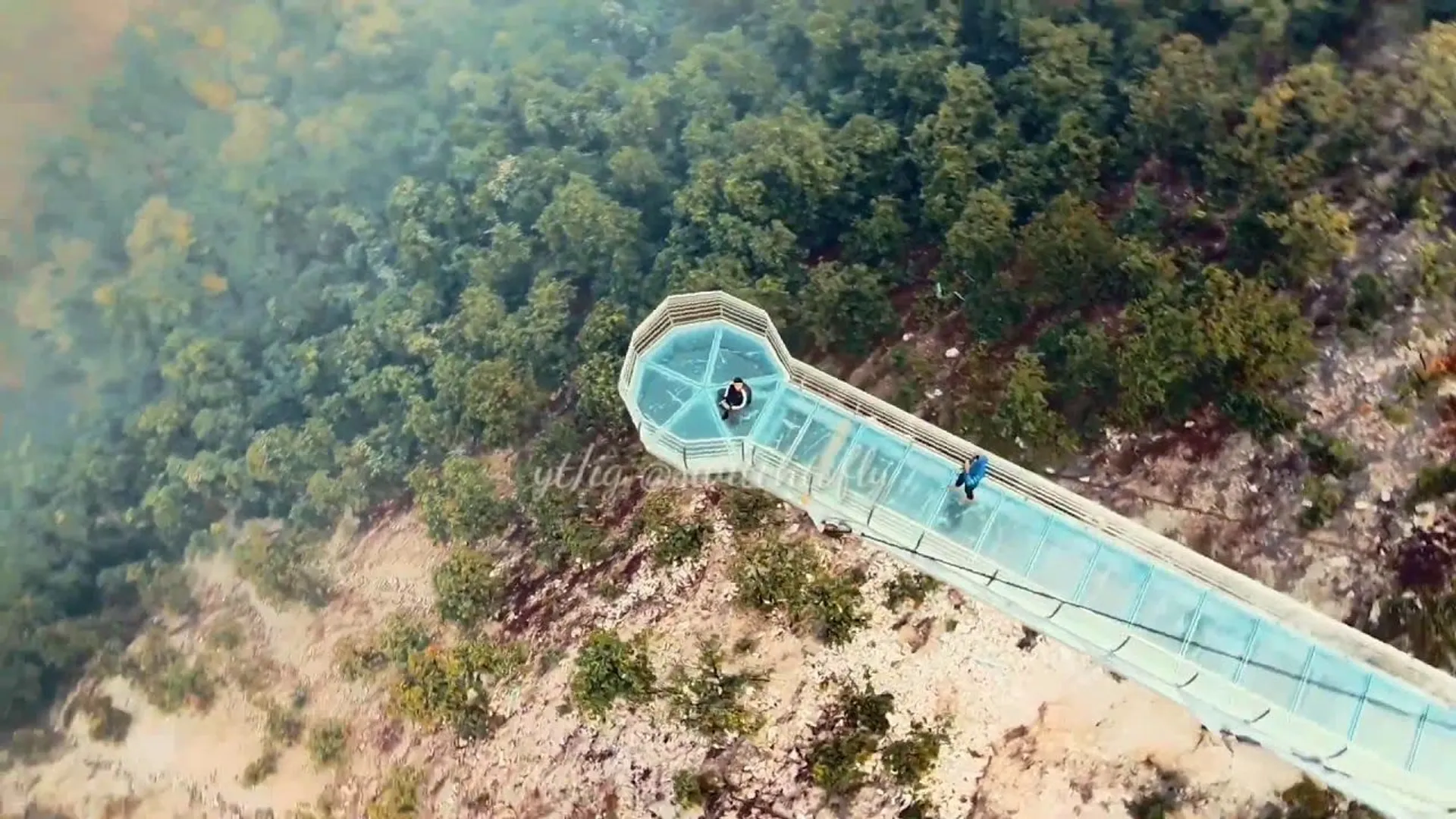 India's second glass bridge comes up in Bihar's Nalanda, was Nitish Kumar's dream project | WATCH