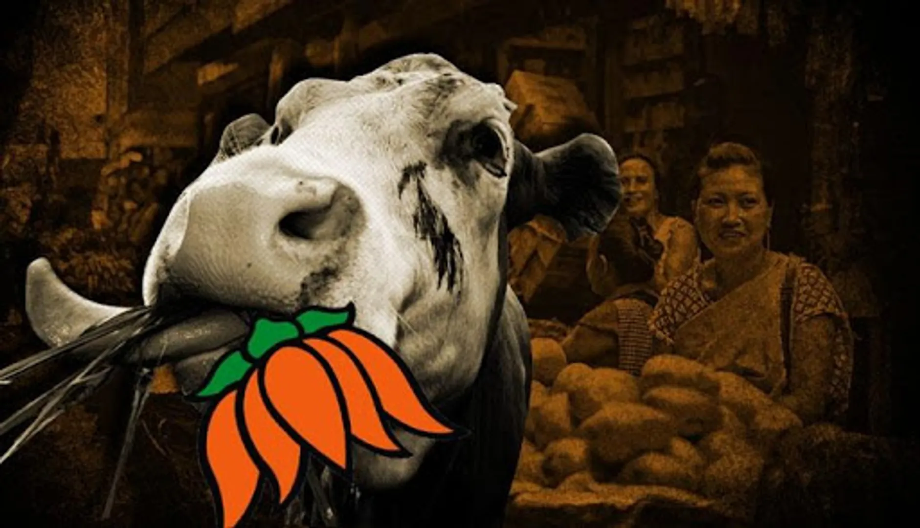 Beef is the National Food of India: BJP candidate during campaign in Muslim Majority constituency