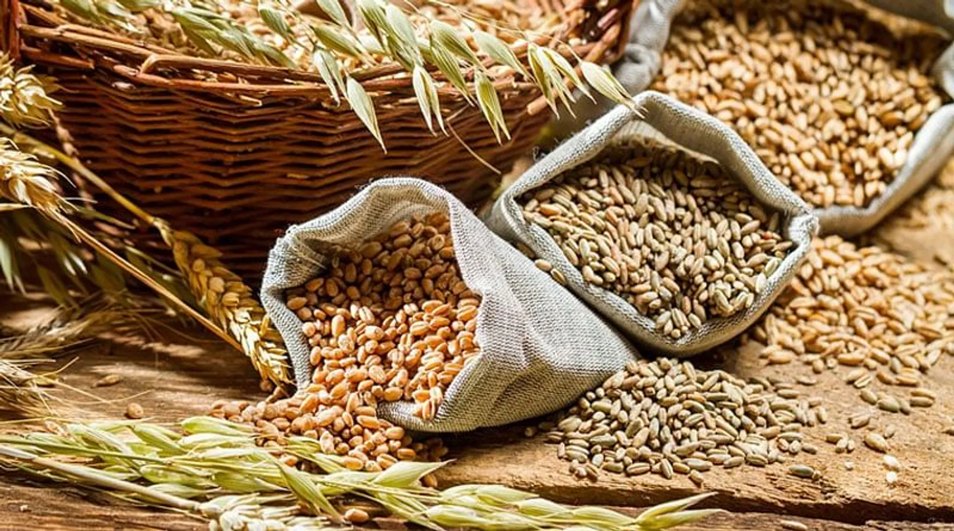 Central government to give 5 kg free foodgrain to 80 crore people for next 2 months