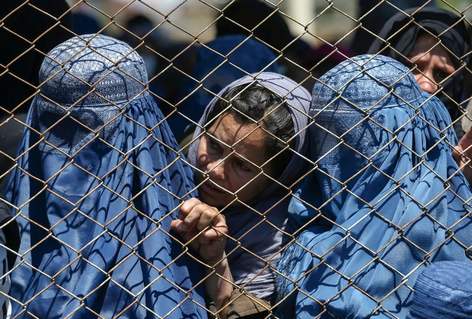 Taliban is now going door-to-door and forcibly making women ‘sex slaves’ for their militants as Afghanistan falls