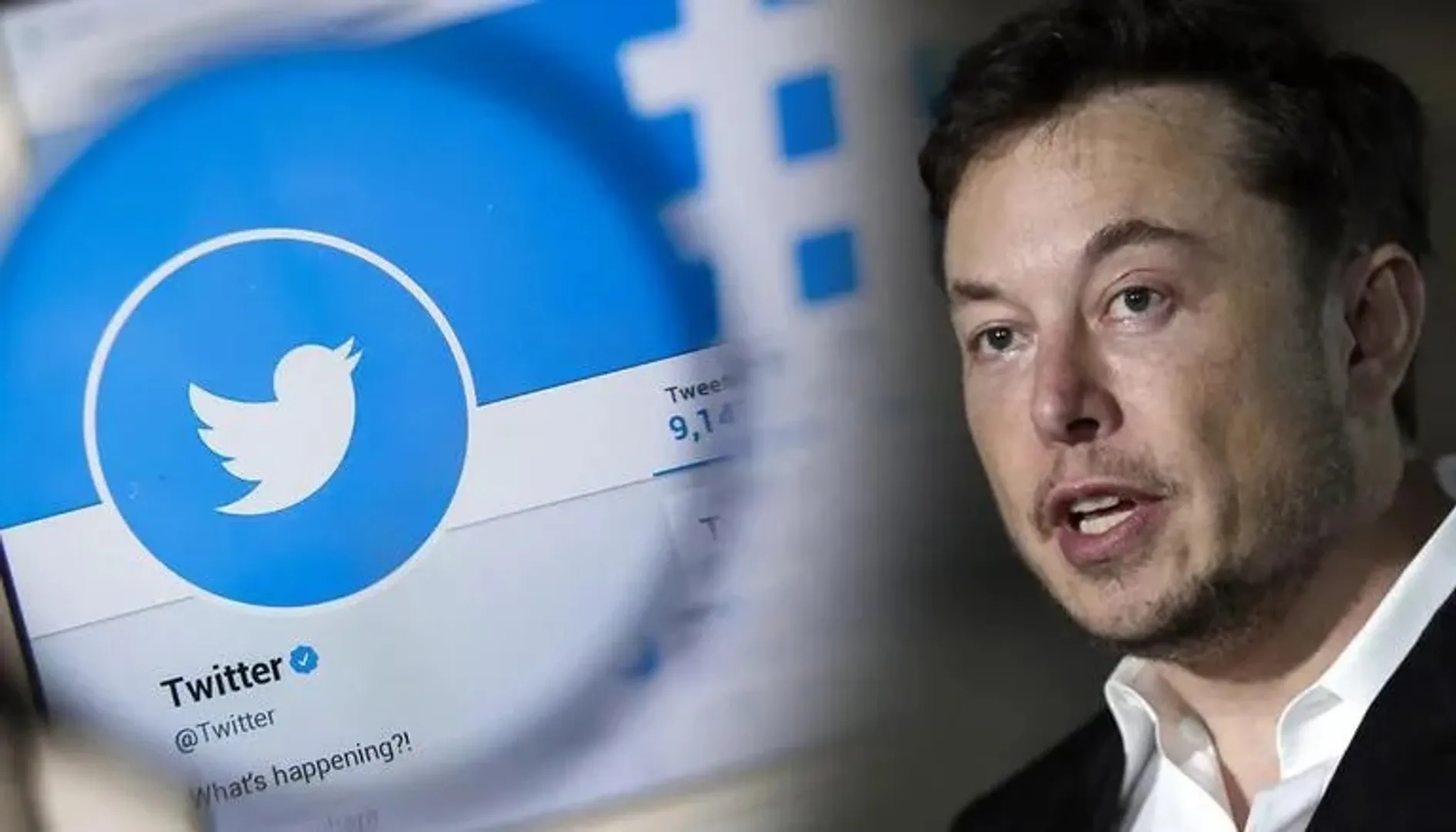 Elon musk buys majority stakes in Twitter after people vote ‘no’ on his poll asking if twitter adheres to free speech