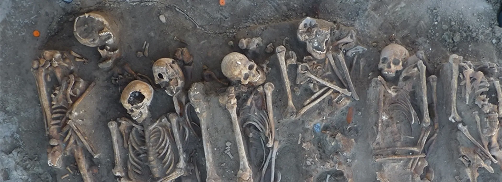 Skeletons of 282 Indian soldiers killed in 1857 revolt found during excavation in Amritsar